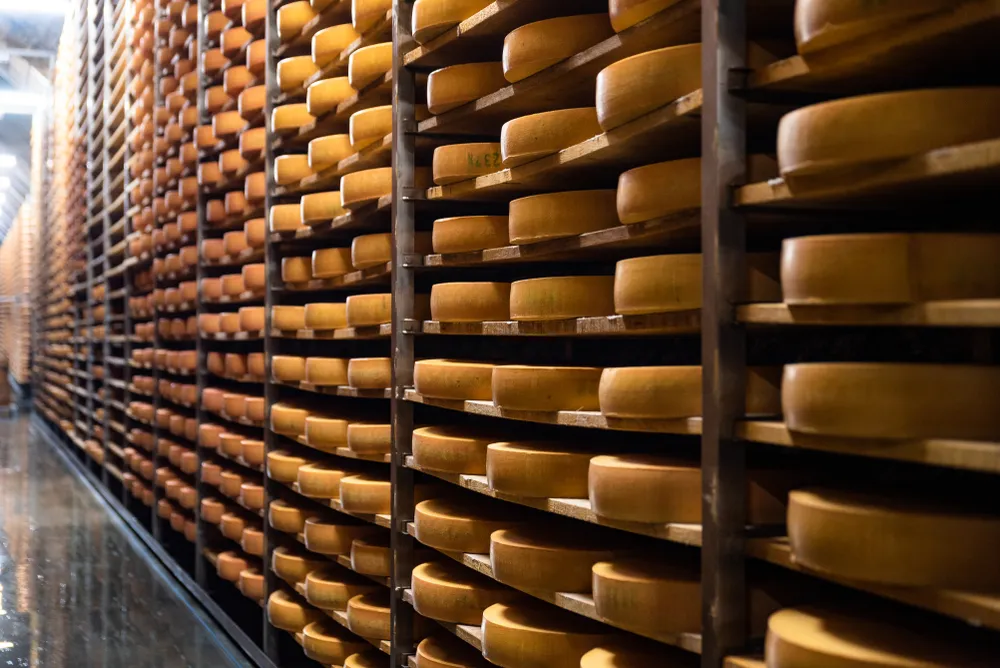 A Robot Is Helping Russia Produce Cheese