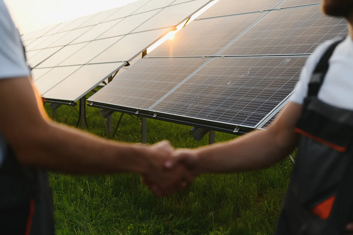 Photo - The Sun That Never Sets: How MEI Scientists Changed the Future of Energy