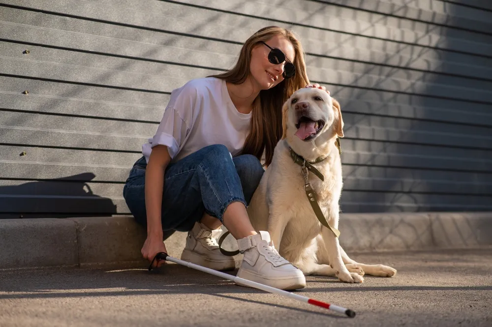 Russian Smart Medallion for Guide Dogs Wins Recognition in Europe