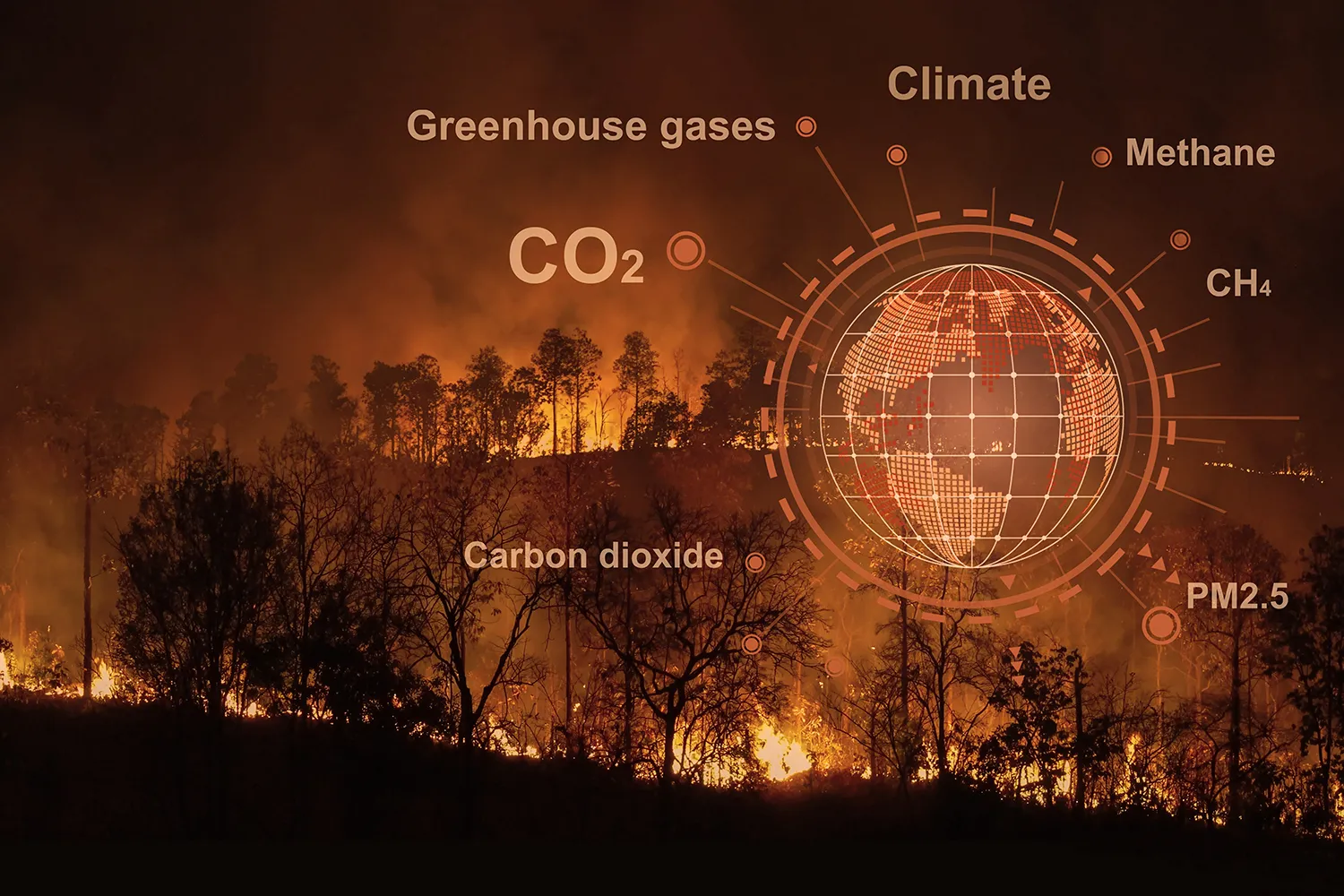 Photo - Smart Cameras and AI: Russia’s Forests Get High-Tech Wildfire Protection