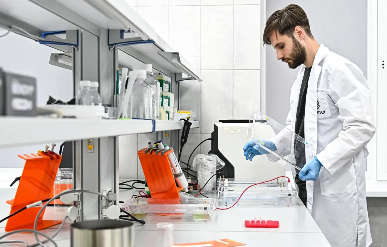 MSU Scientists Teach Neural Network to Predict Molecular Properties More Accurately
