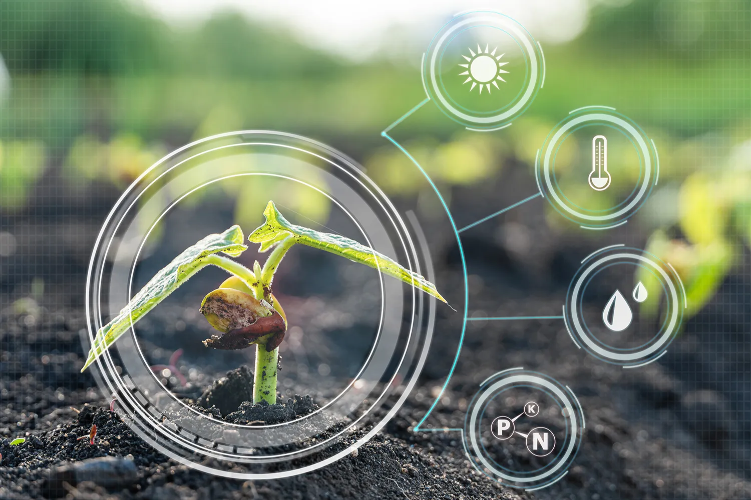 Photo - Smart Defender: Russian AI Helps Safeguard Crop Yields
