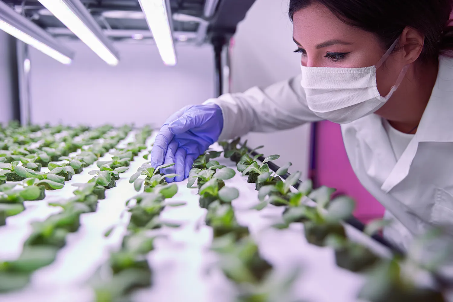 Photo - Theory Tested by Practice: Russian Agricultural Universities Become Innovation Hubs