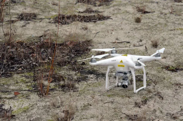 Drones in Russia to Count Wild Reindeer in Protected Wetlands