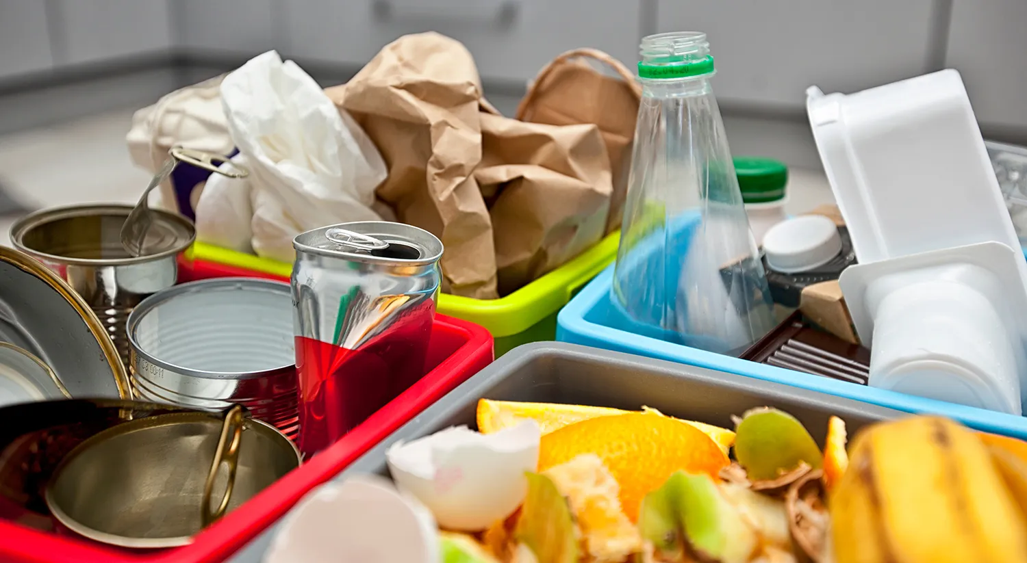 Photo - Smart Sorter from Moscow: AI Transforms Waste Recycling
