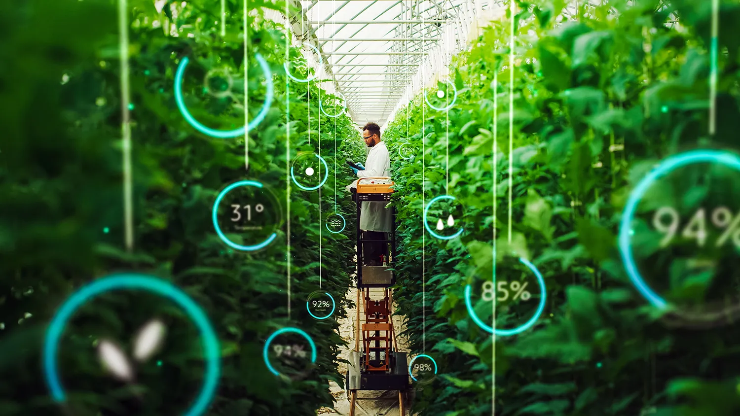 Photo - Digital Soil Twins: A New Tool for Boosting Crop Yields in Russia