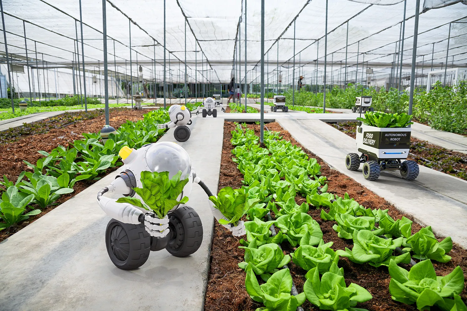 Photo - Digital Farming Assistant: AI to the Rescue of Crops
