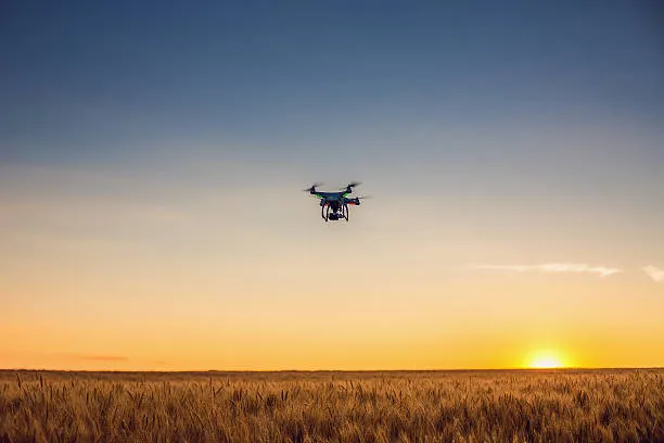 In Russia, Artificial Intelligence Helps Monitor the Use of Agricultural Land