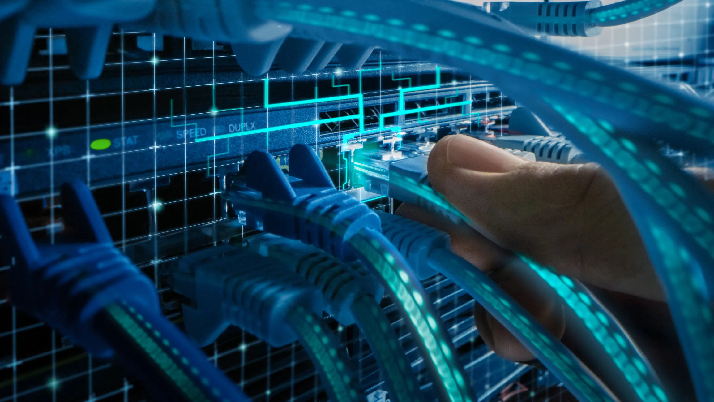 Russian Developer Invests in Full‑Cycle Domestic IT Solutions