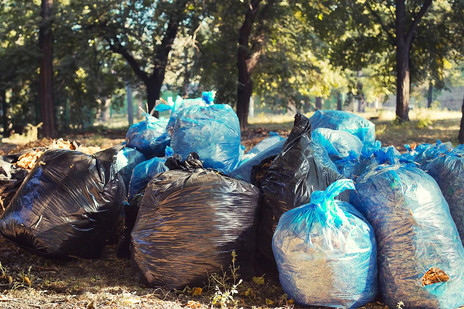 Photo - St. Petersburg: How AI and GIS Are Transforming Urban Sanitation and Setting New Trends