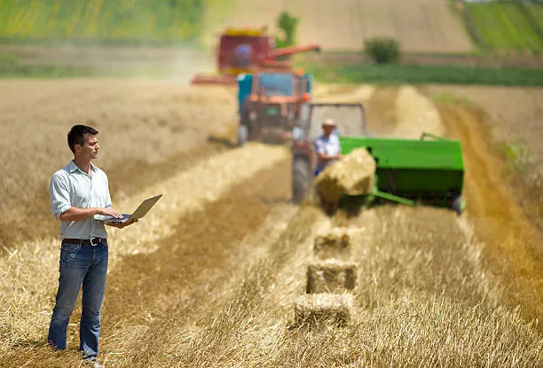 AI helps keep substandard agricultural products off stores shelves in Russia