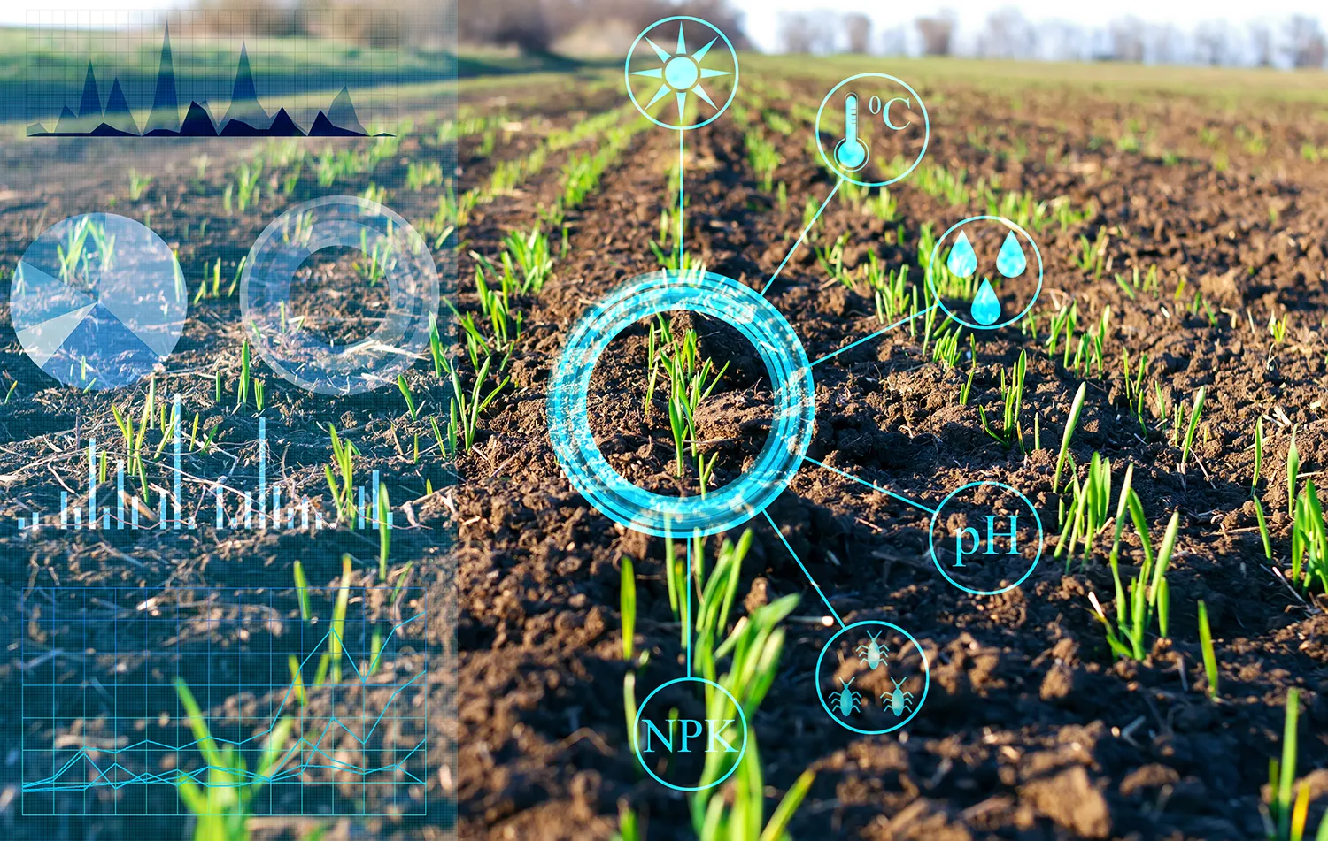 Photo - Smart Portal to Predict Harvests: A Boost for Russian Farmers