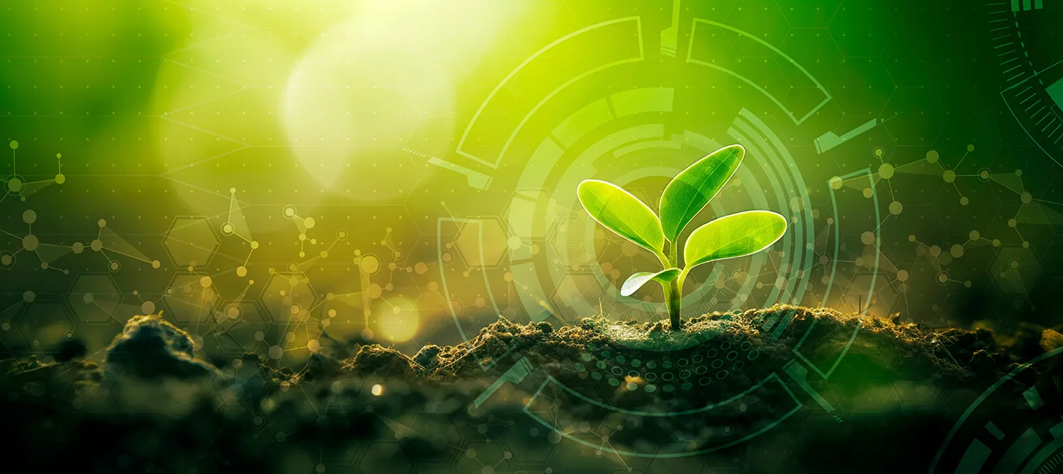 Photo - AI-Powered Field Maps: Russian Platform Aims to Predict and Improve Crop Yields