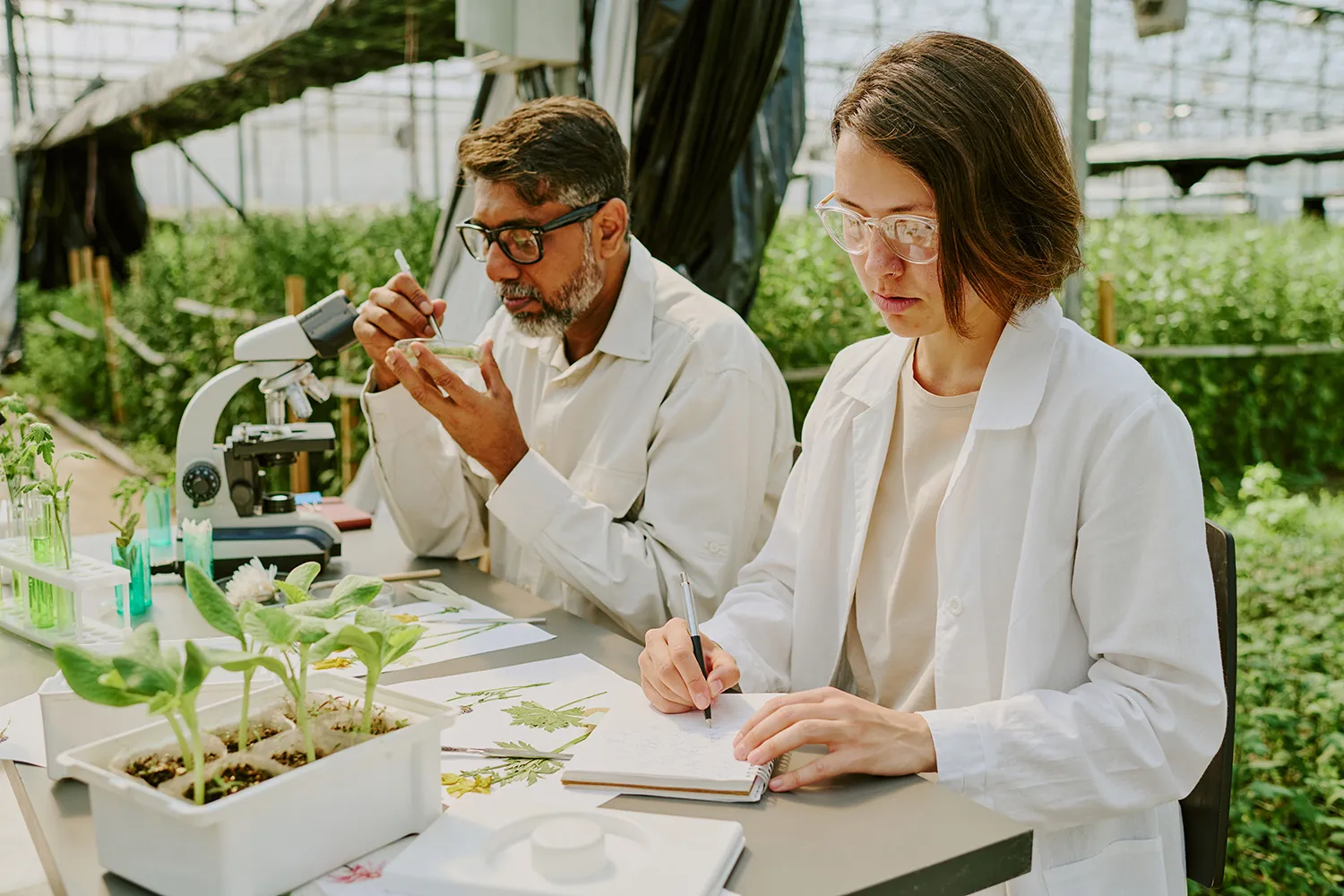 Photo - Theory Tested by Practice: Russian Agricultural Universities Become Innovation Hubs