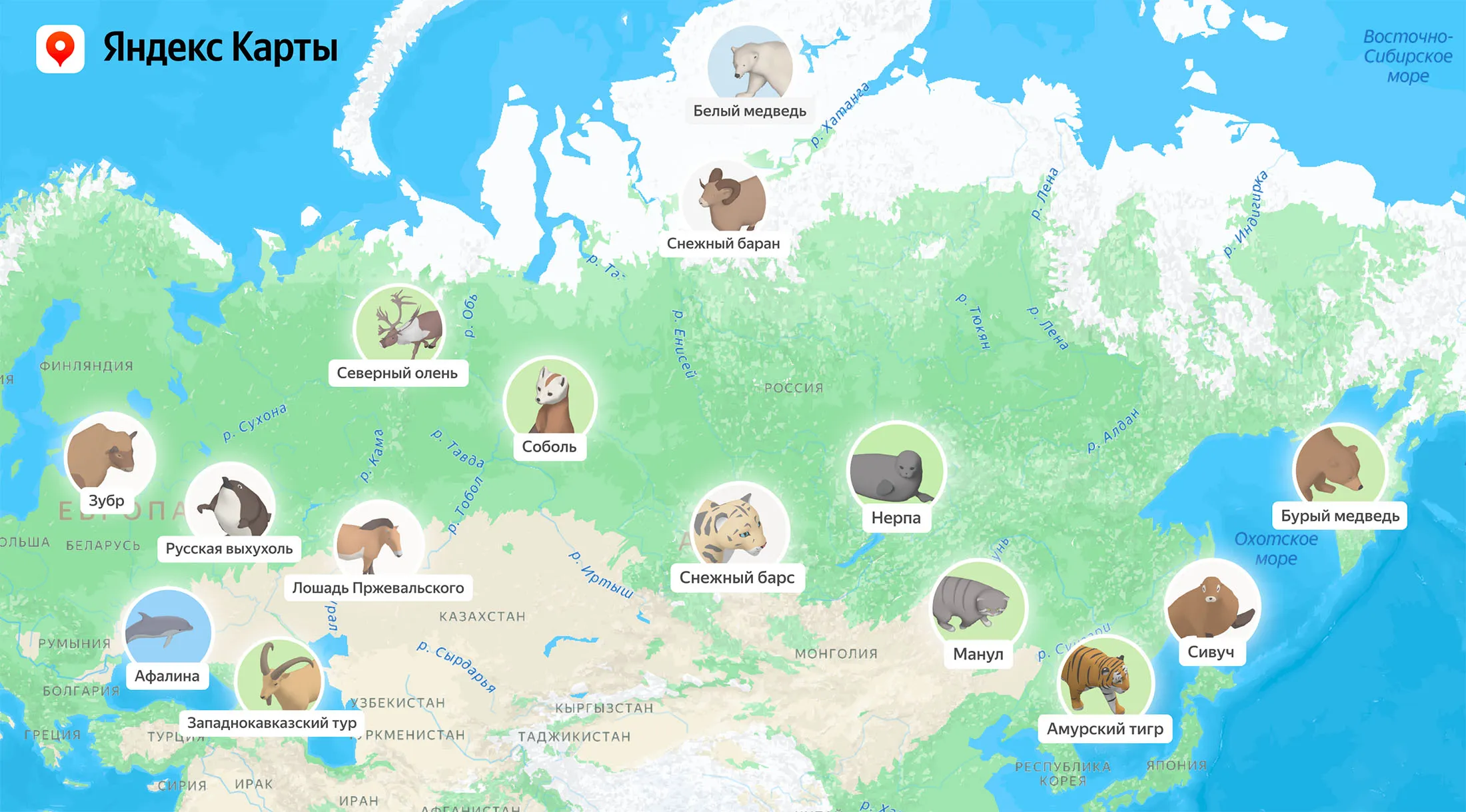 На карте России появились 3D-модели редких животных страны