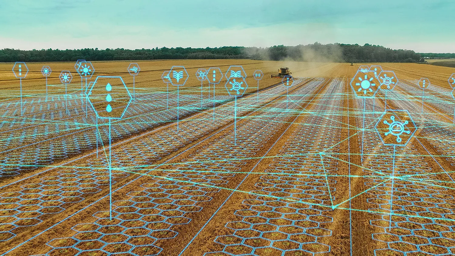 Photo - AI-Powered Field Maps: Russian Platform Aims to Predict and Improve Crop Yields