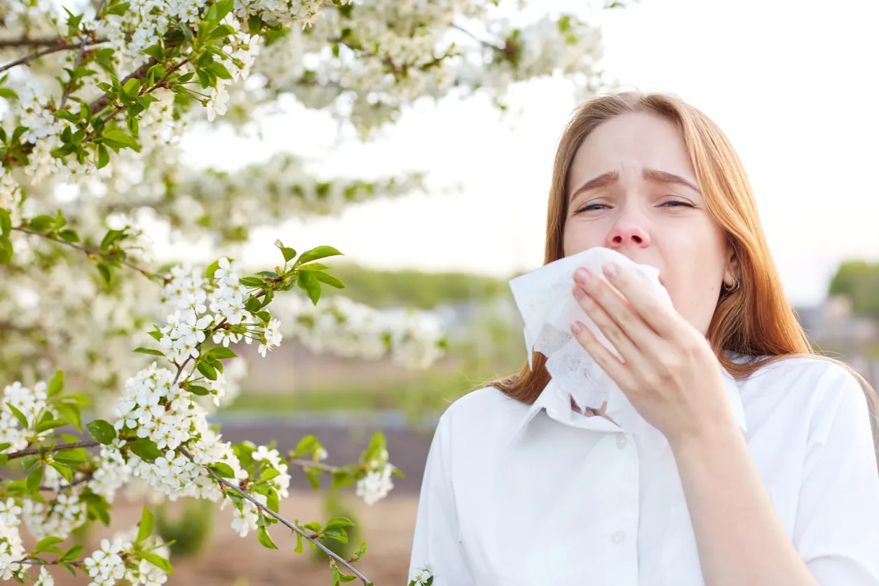 Russian Neural Network to Forecast Allergy Seasons by Region