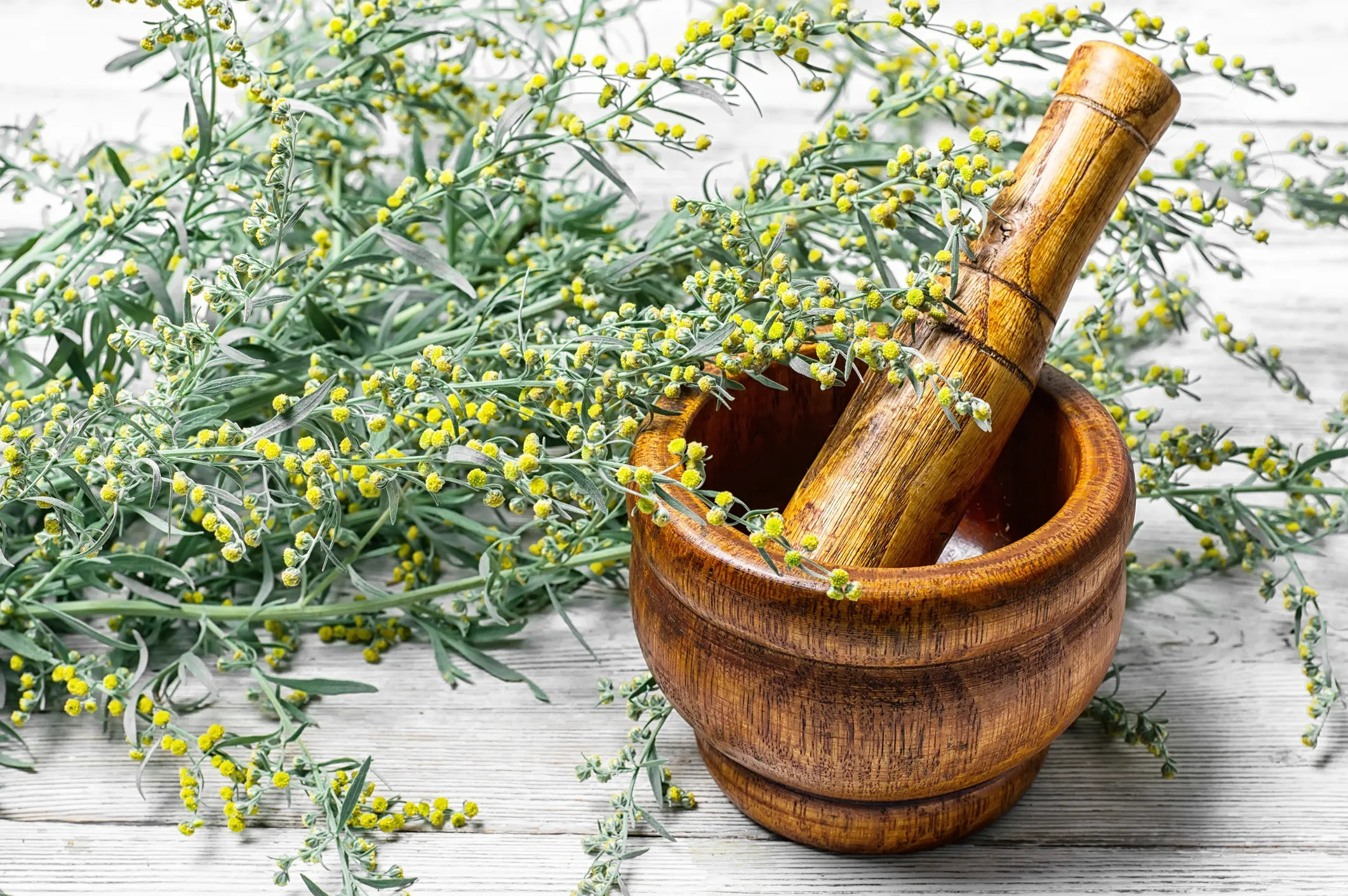 Russia Unveils AI-Powered Assistant for Traditional Medicine