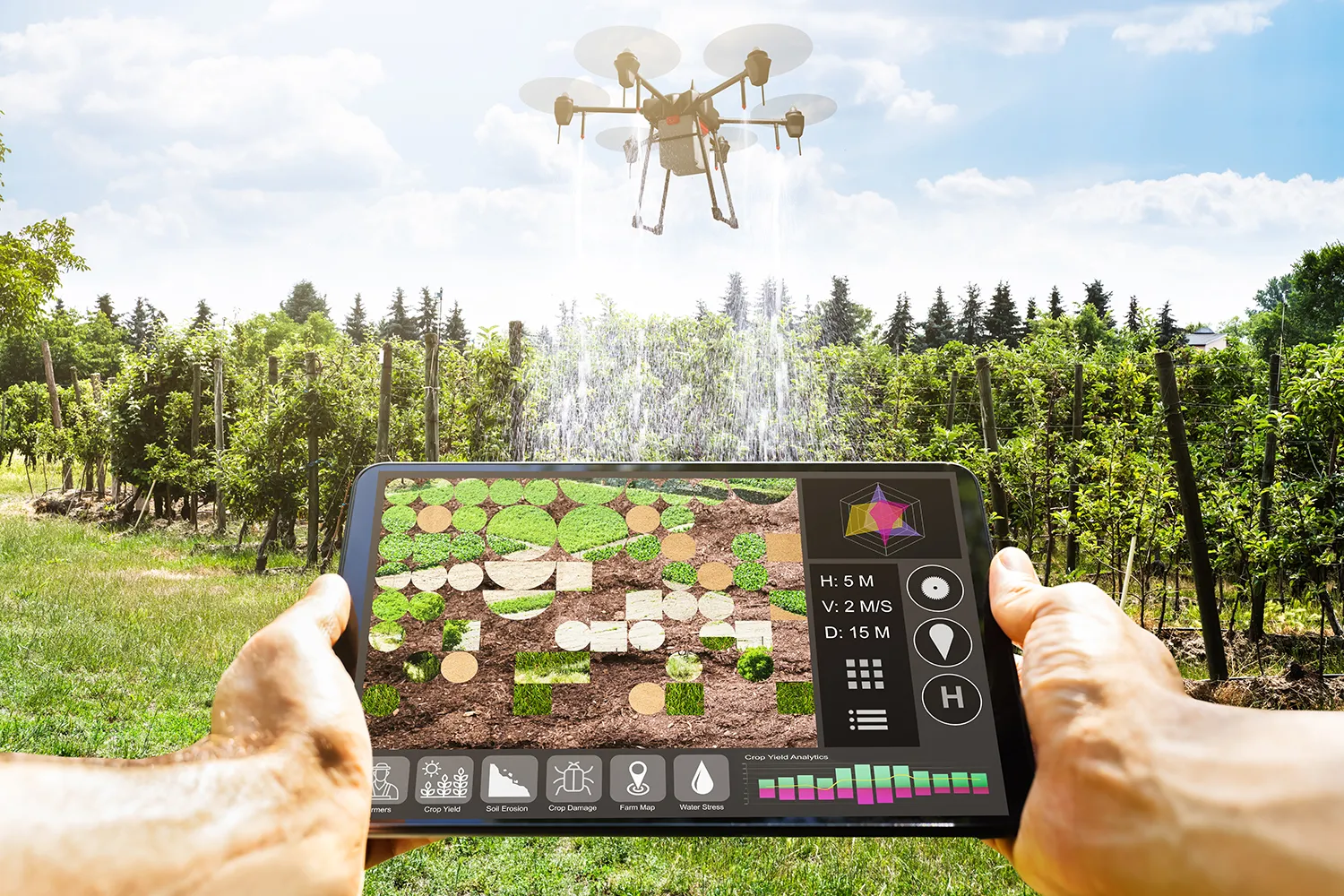 Photo - Smart Fertilization: AI Helps Farmers Cut Costs