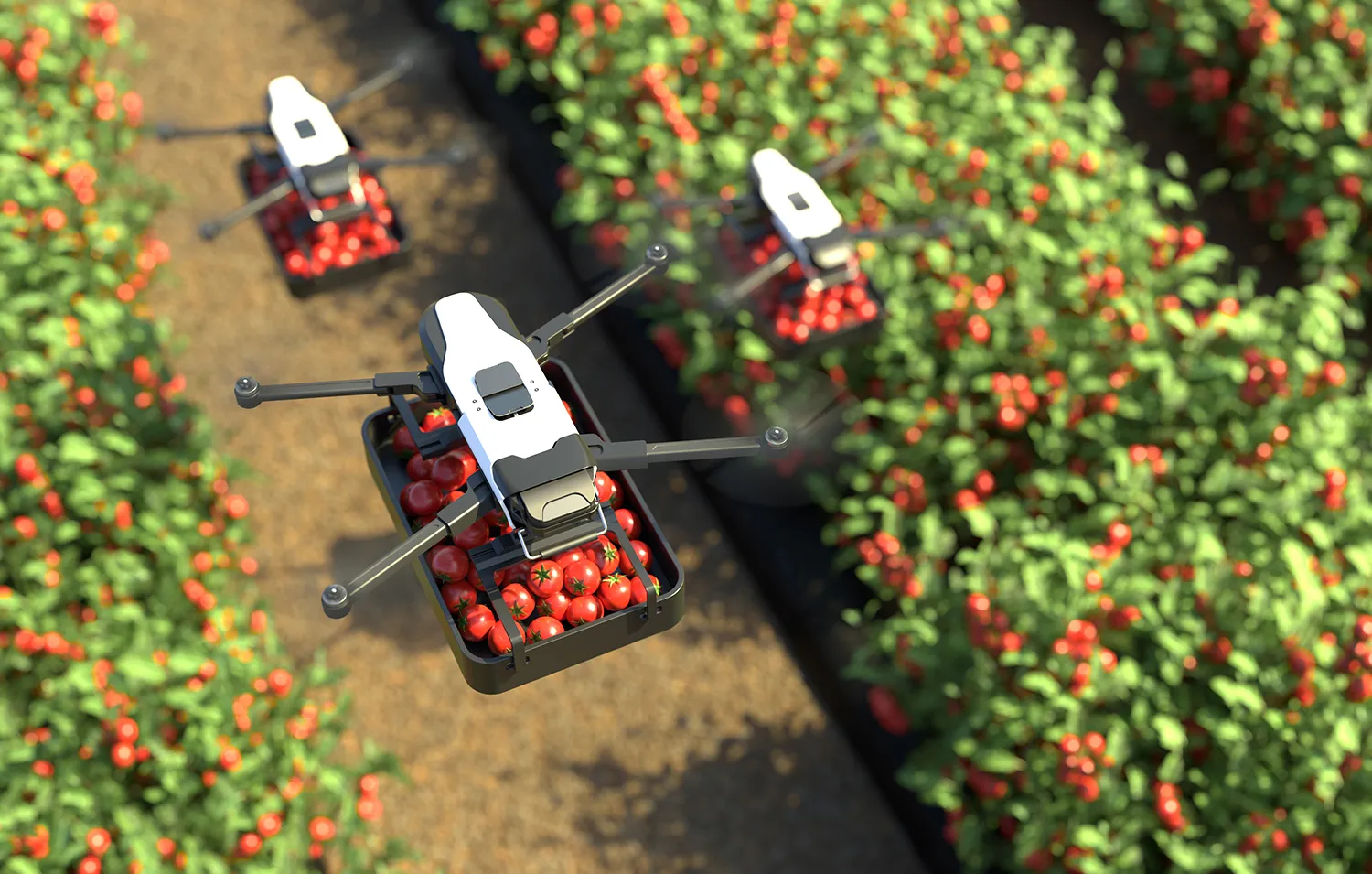 Photo - Aerial Farmers: Powerful Drones to Boost Yields in Bashkortostan