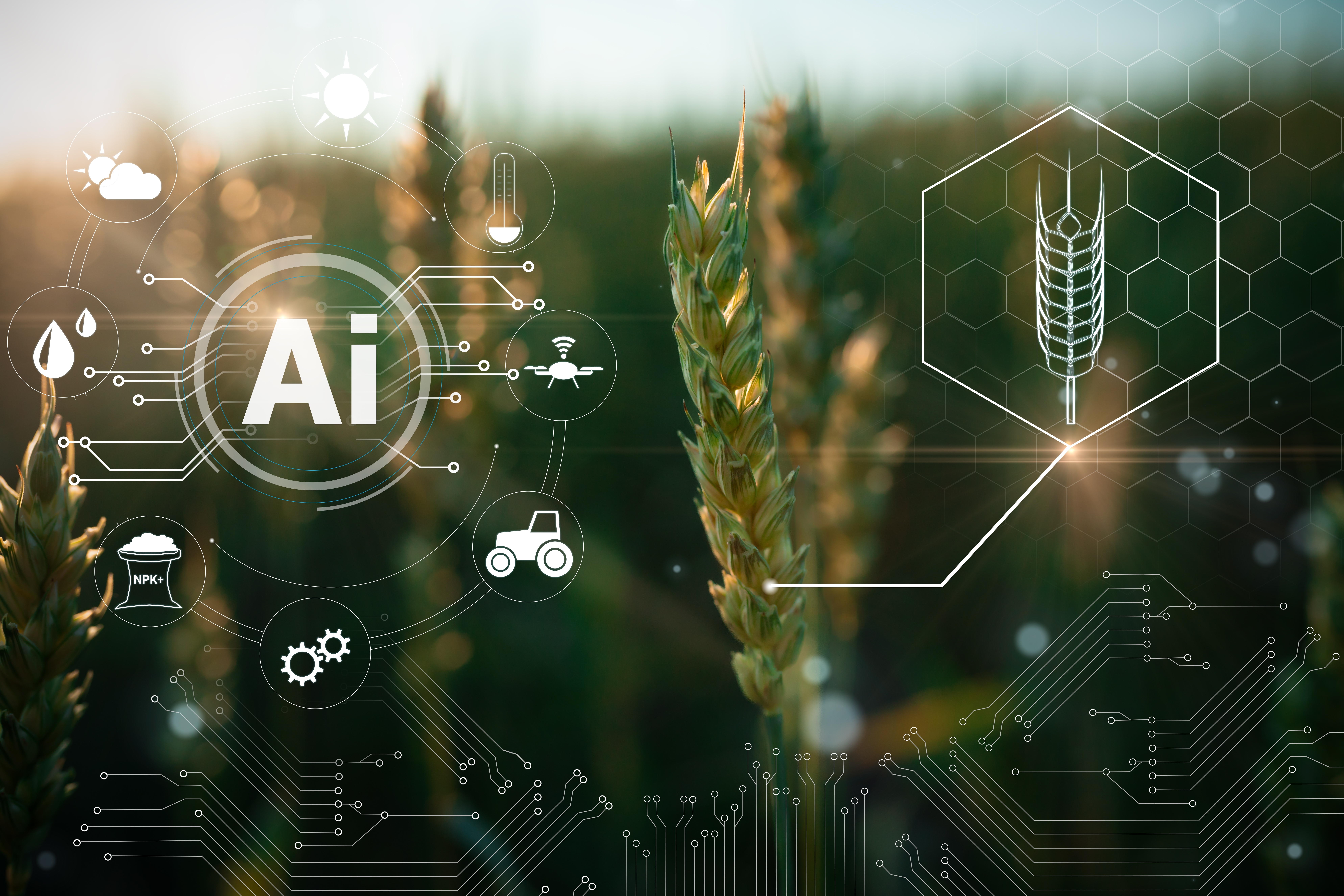 AI Takes Over Farm Management in Russia
