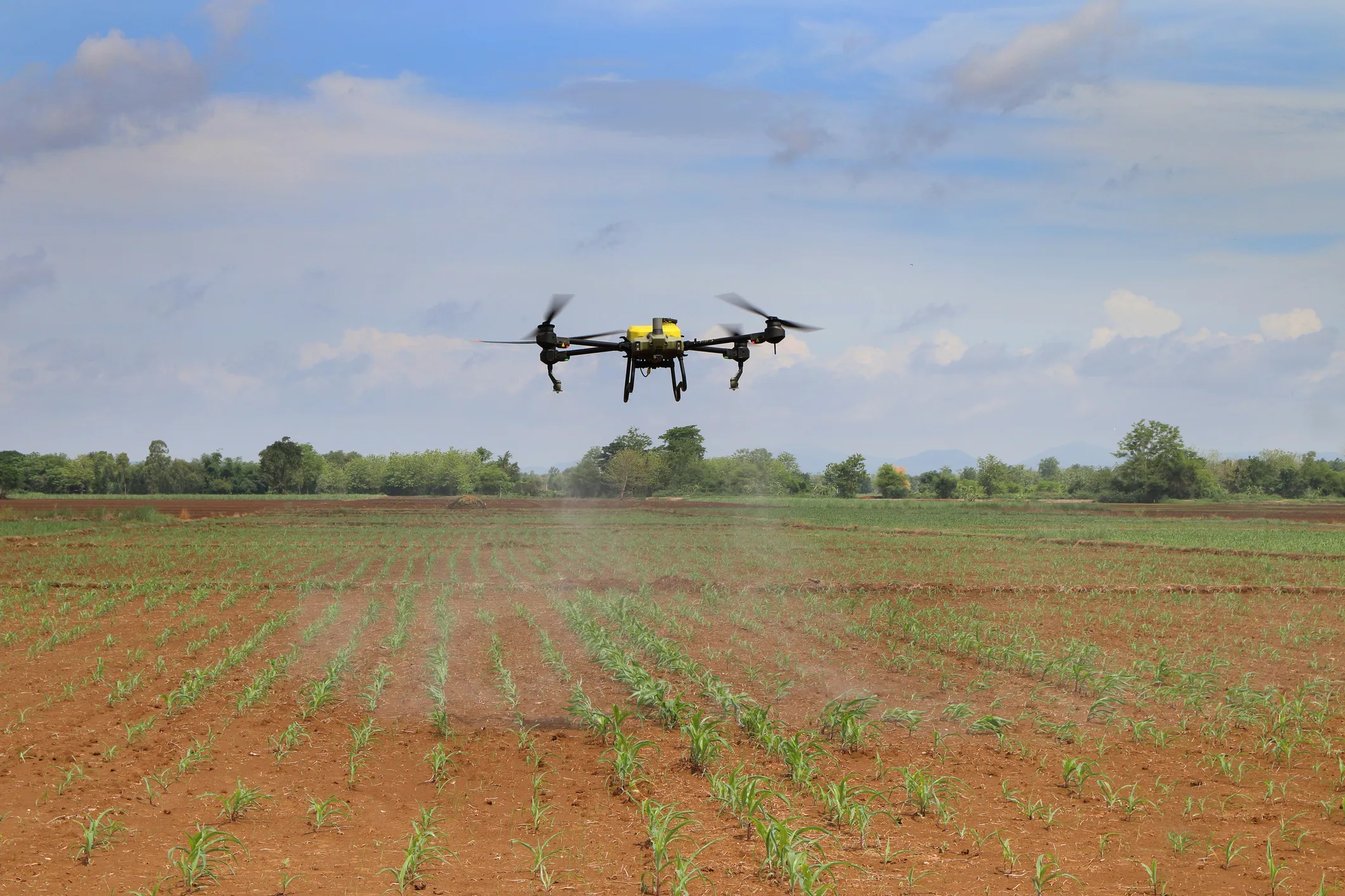 Russian Scientists Use AI and Drones to Predict Potato Harvests