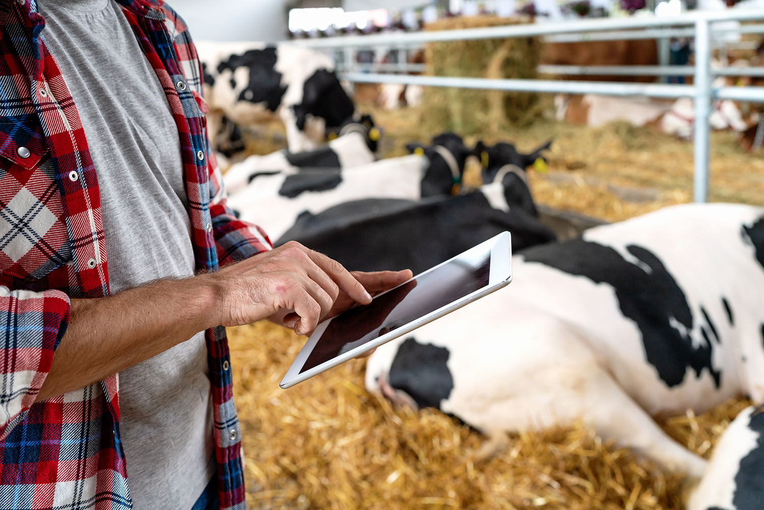 Russian AI Feeds the World: Smart Livestock Tech for Global Food Security