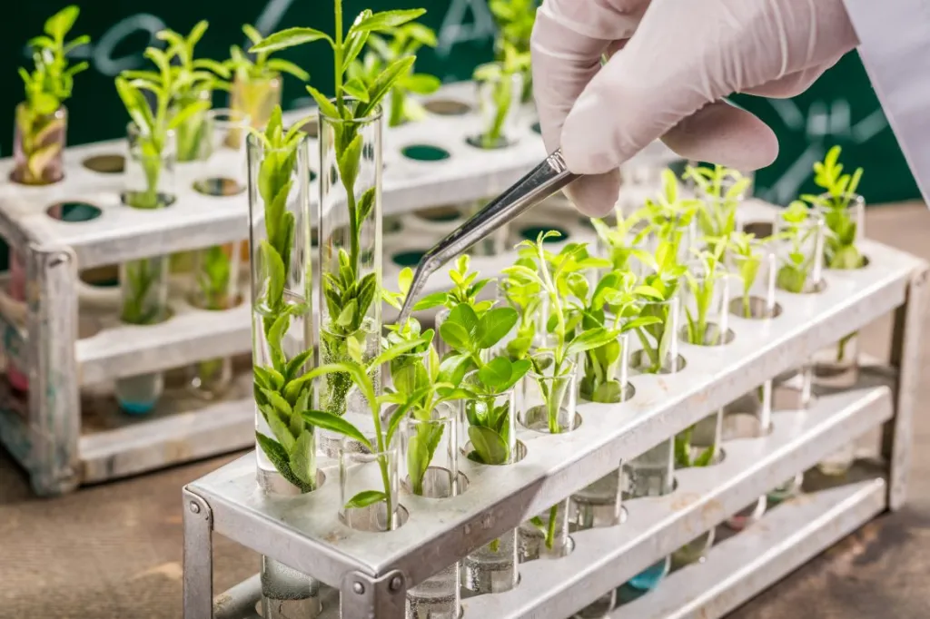 Biotechnology Laboratory Complex Opens in Russia's Oryol Region