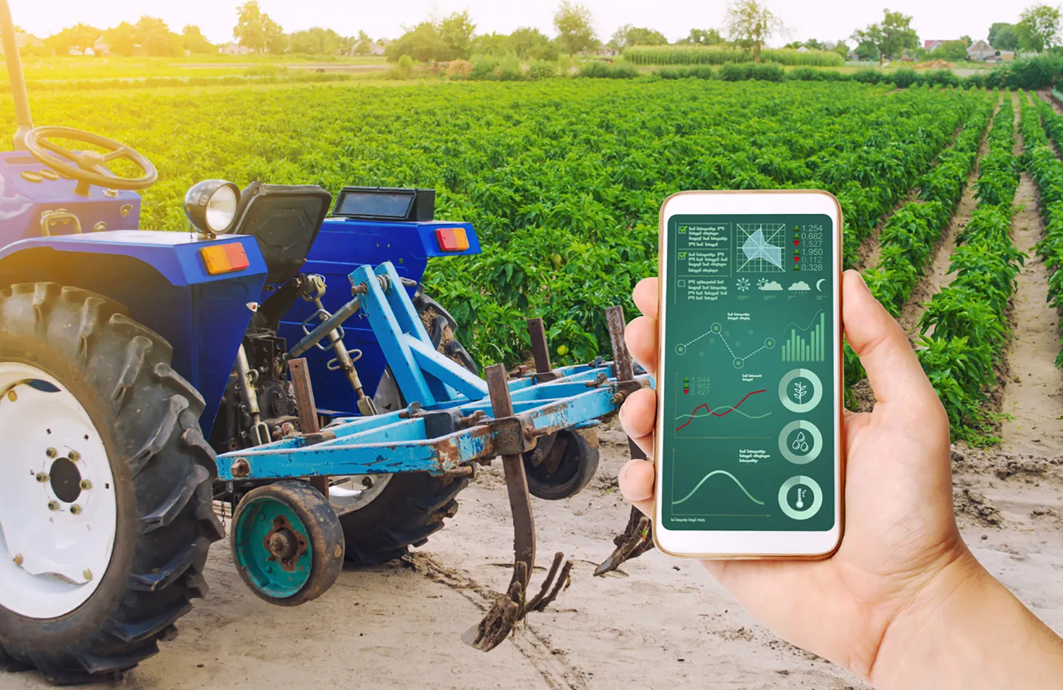 Photo - Digital Meat: How Robots Are Revolutionizing Russian Pork Production