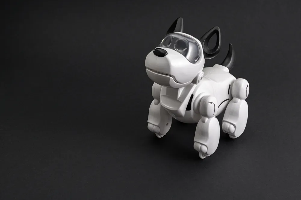 Moscow Forum Showcases Robot Dog and 'Belka' for the ISS