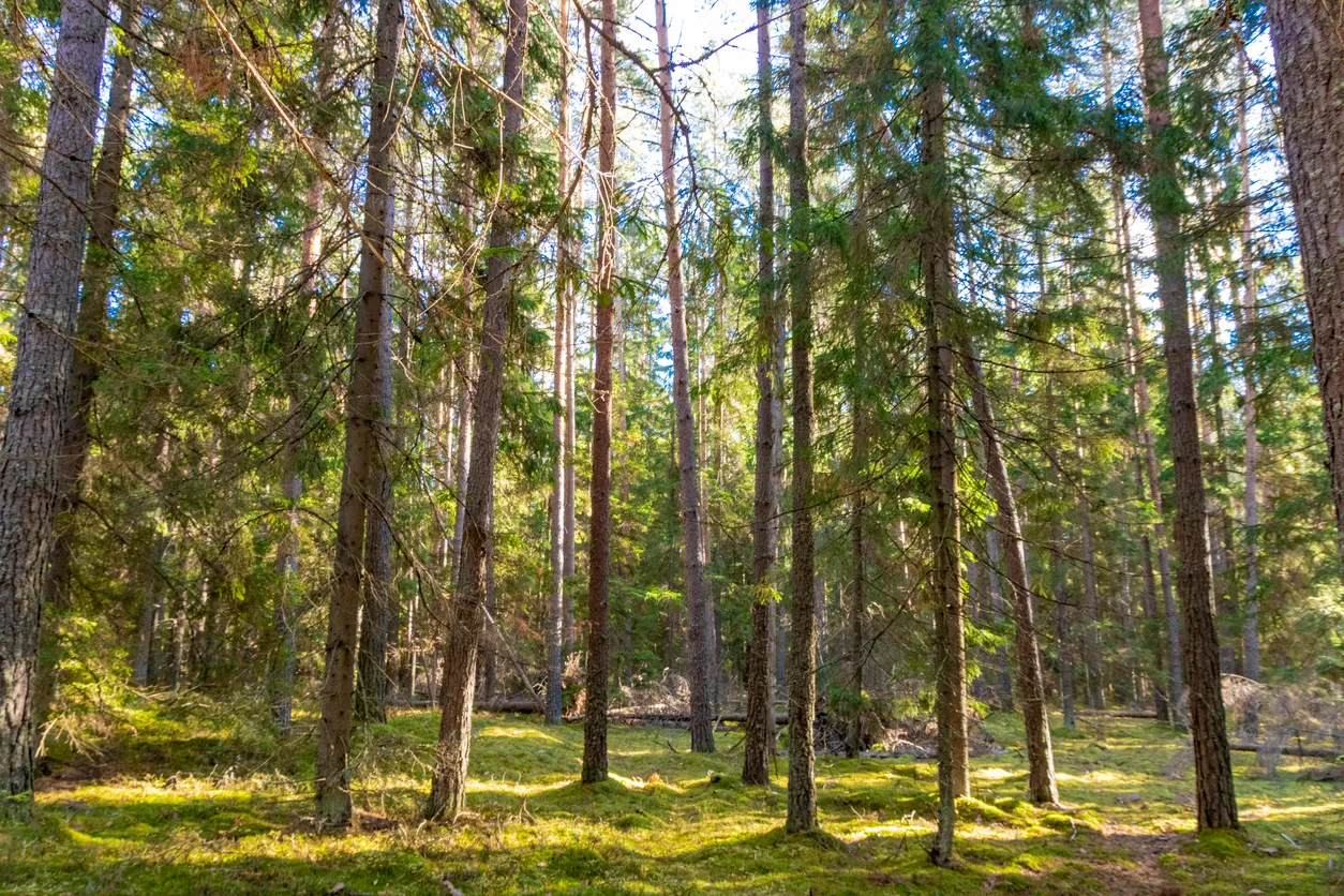 Russia’s Ugra National Park to Develop a Mobile App for Tourists