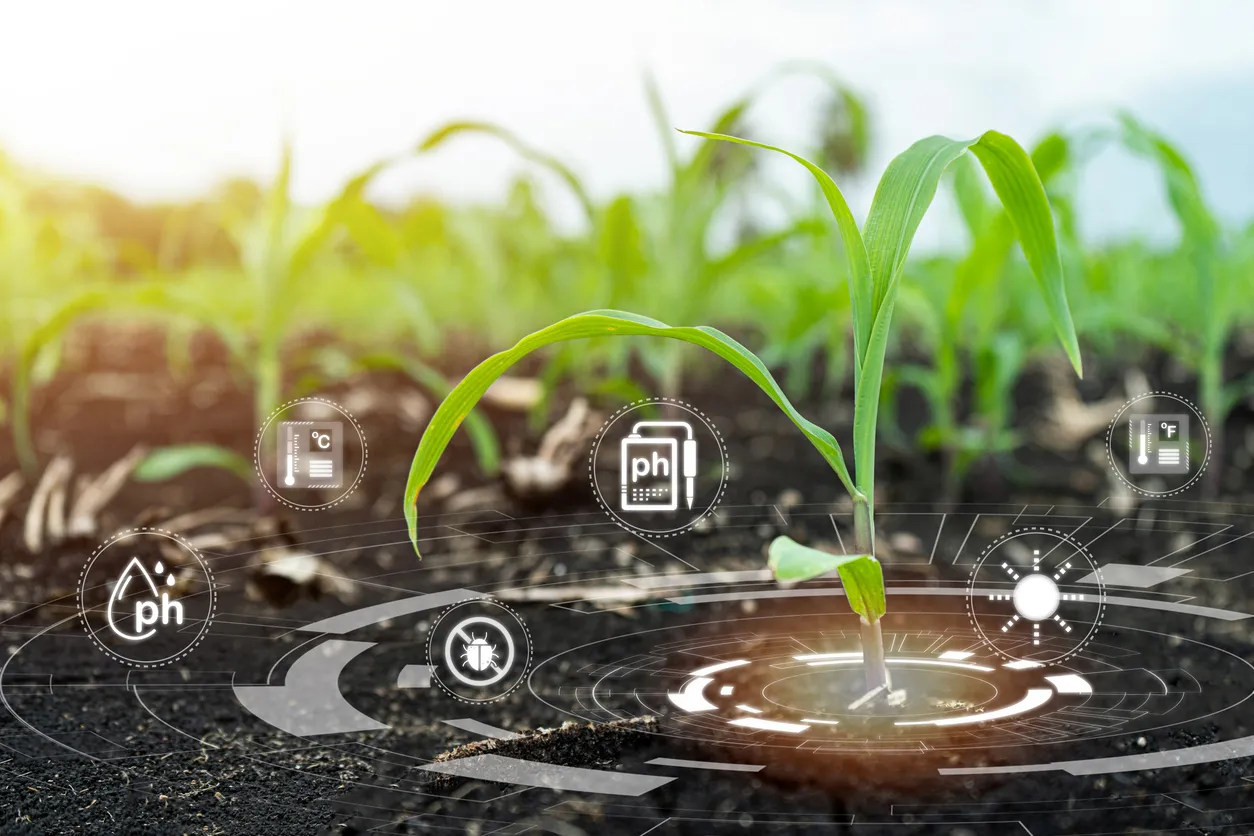 AI Networks in Russia to Predict Crop Yields and Disease Risks