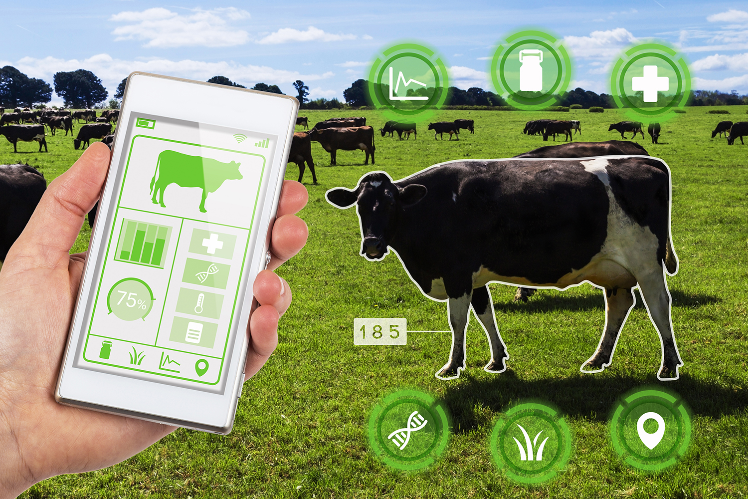 Photo - Russian AI Feeds the World: Smart Livestock Tech for Global Food Security