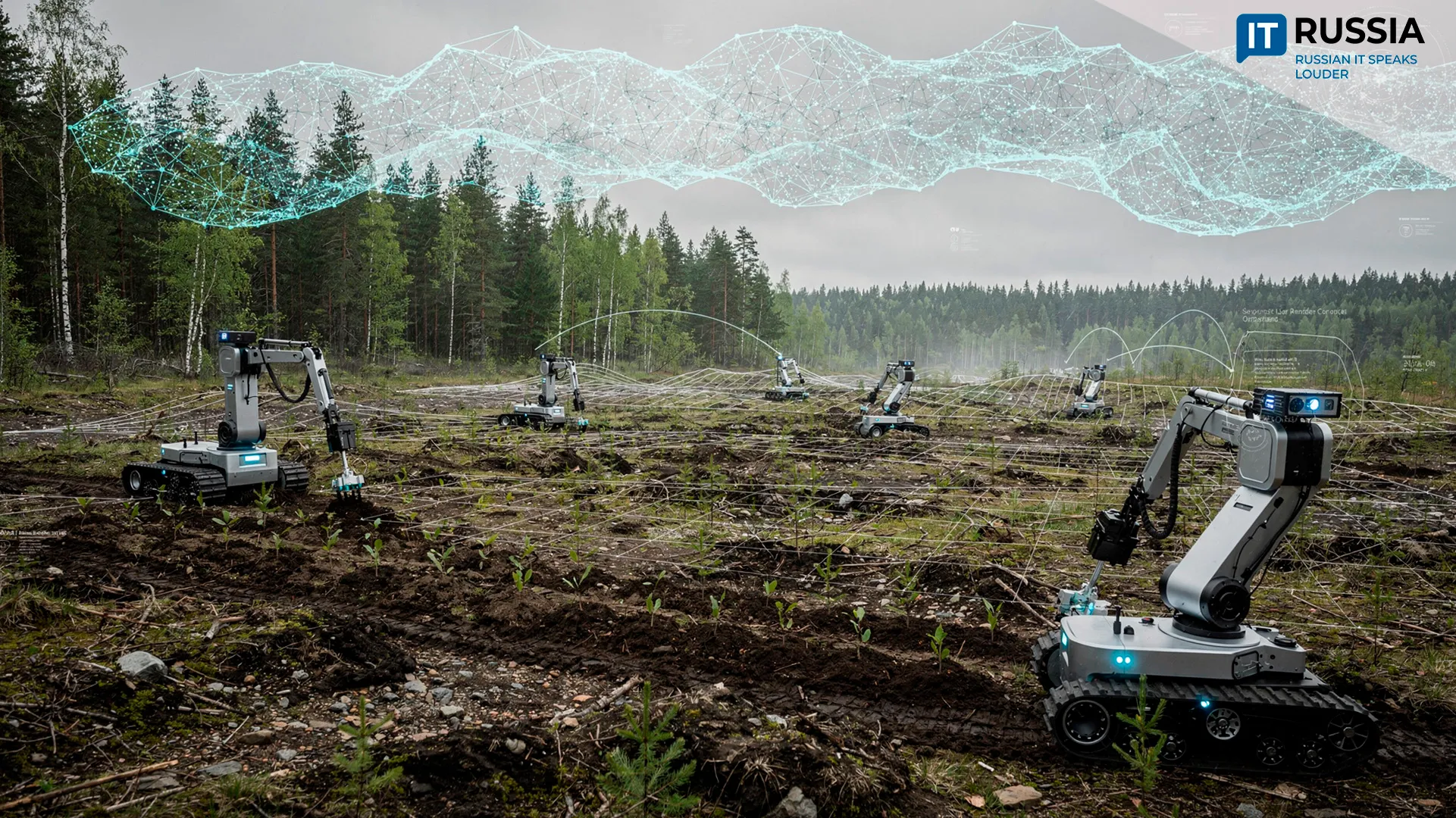 AI to Speed Up Reforestation in Tyumen Region