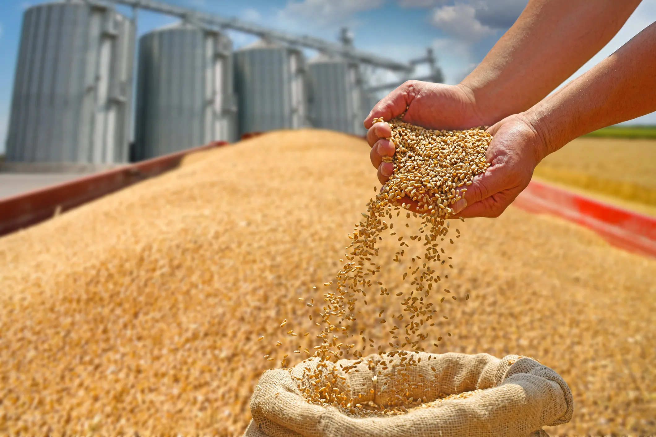 Major Russian Seed Producer Adopts All-in-One Digital Platform
