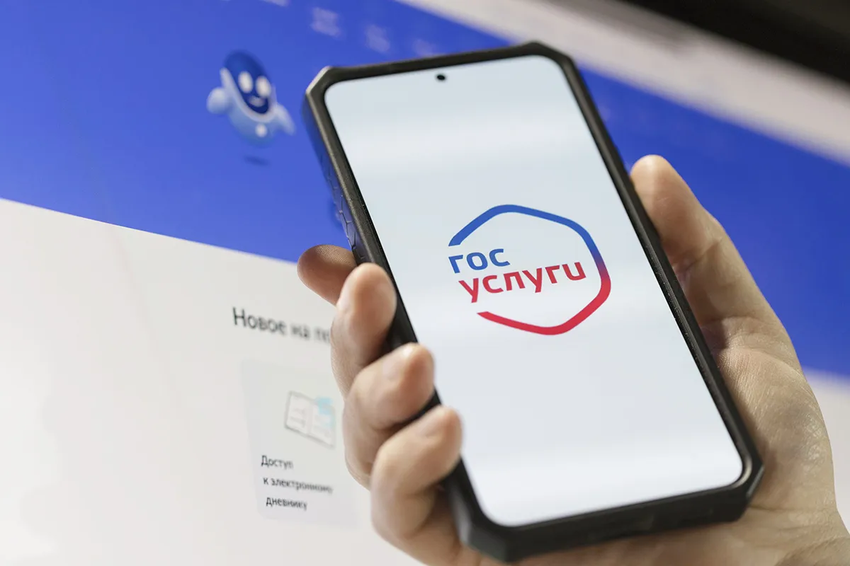 Volgograd Region Launches Dedicated Section on Gosuslugi Portal