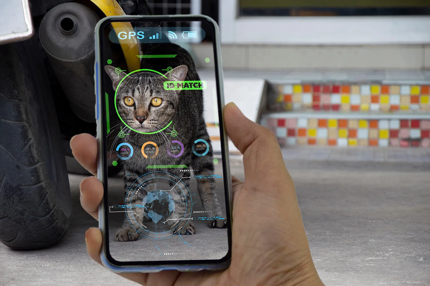 Photo - Lost and Found: Russia's E-Government to Help Reunite Pets With Their Owners
