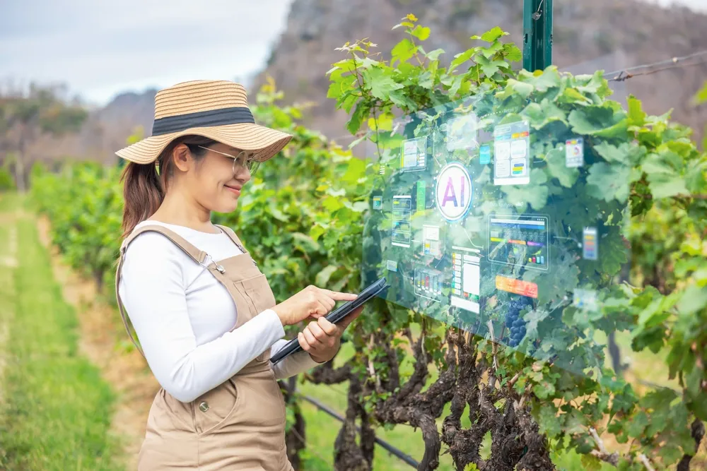 Novosibirsk Scientists to Build a VR Service for Designing the Perfect Garden