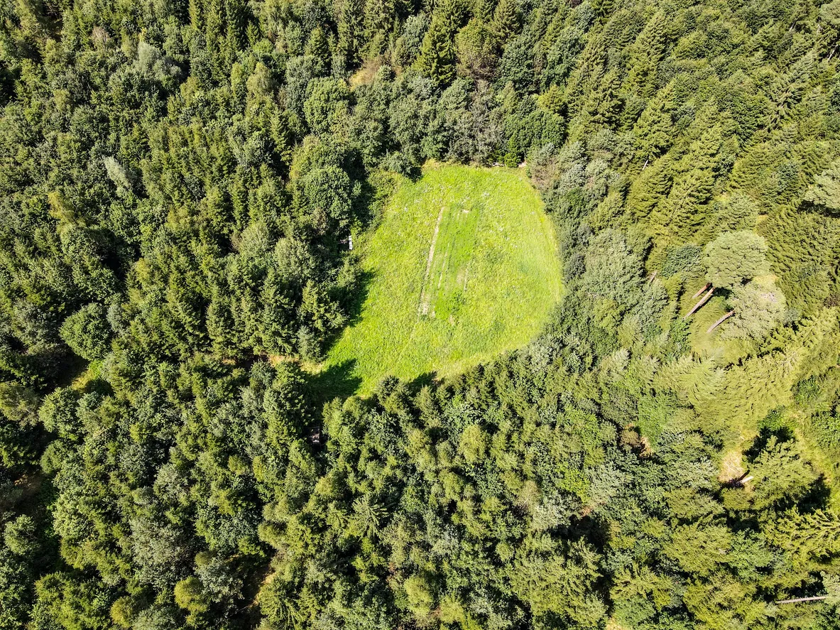 AI and Drones Help Cut Wildfire Damage Threefold in Russian Region