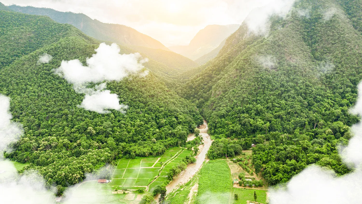 Photo - Ecology 2.0: How Digital Innovation Is Reshaping Russian Industry