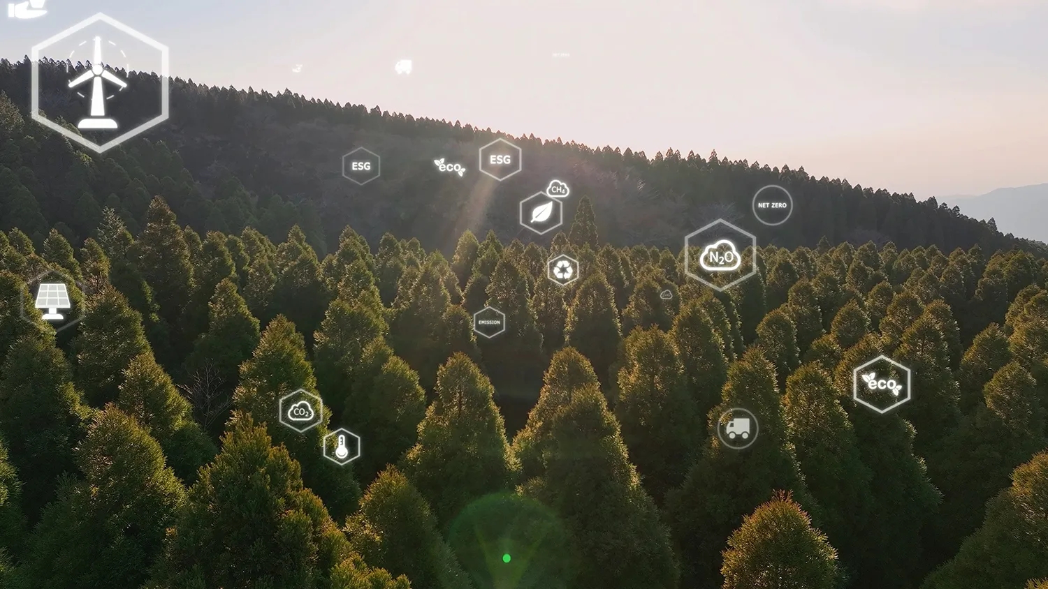 Photo - Digital Forest: Russian Technology to Transform the Future of Forestry