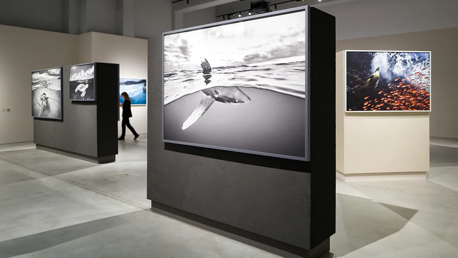 Photo - With a Star at the Hermitage: A New Look at the Museum Collection