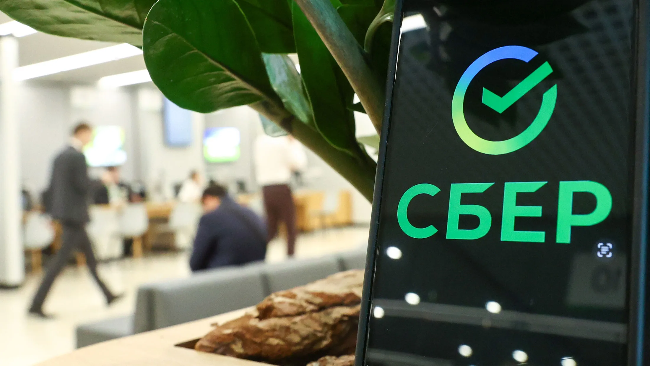 Sber and Yevreyskaya Autonomous Oblast to Launch Digital Transformation of Key Industries