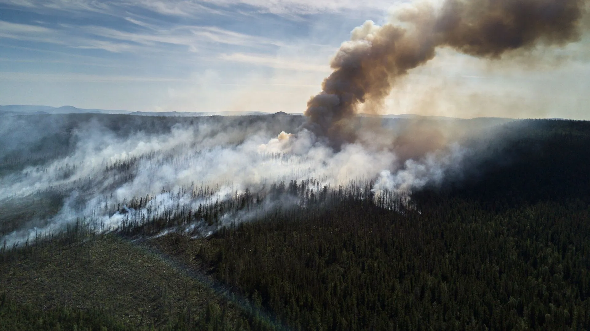 Chelyabinsk Region Deploys AI to Detect Wildfires