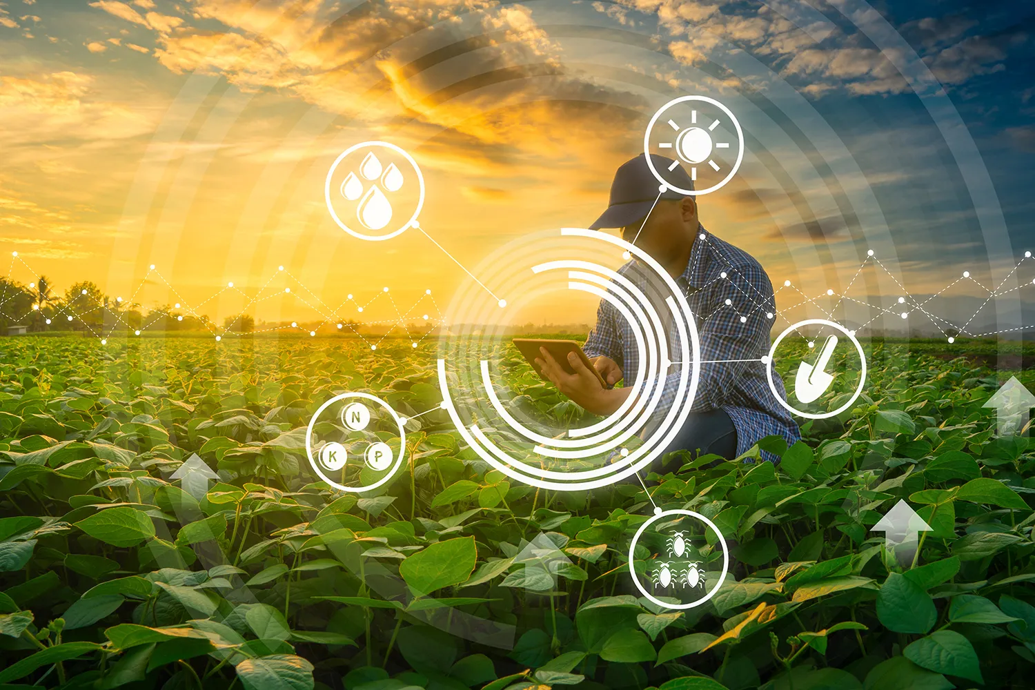 Photo - Smart Hive: AI Supports Russian Beekeeping Industry