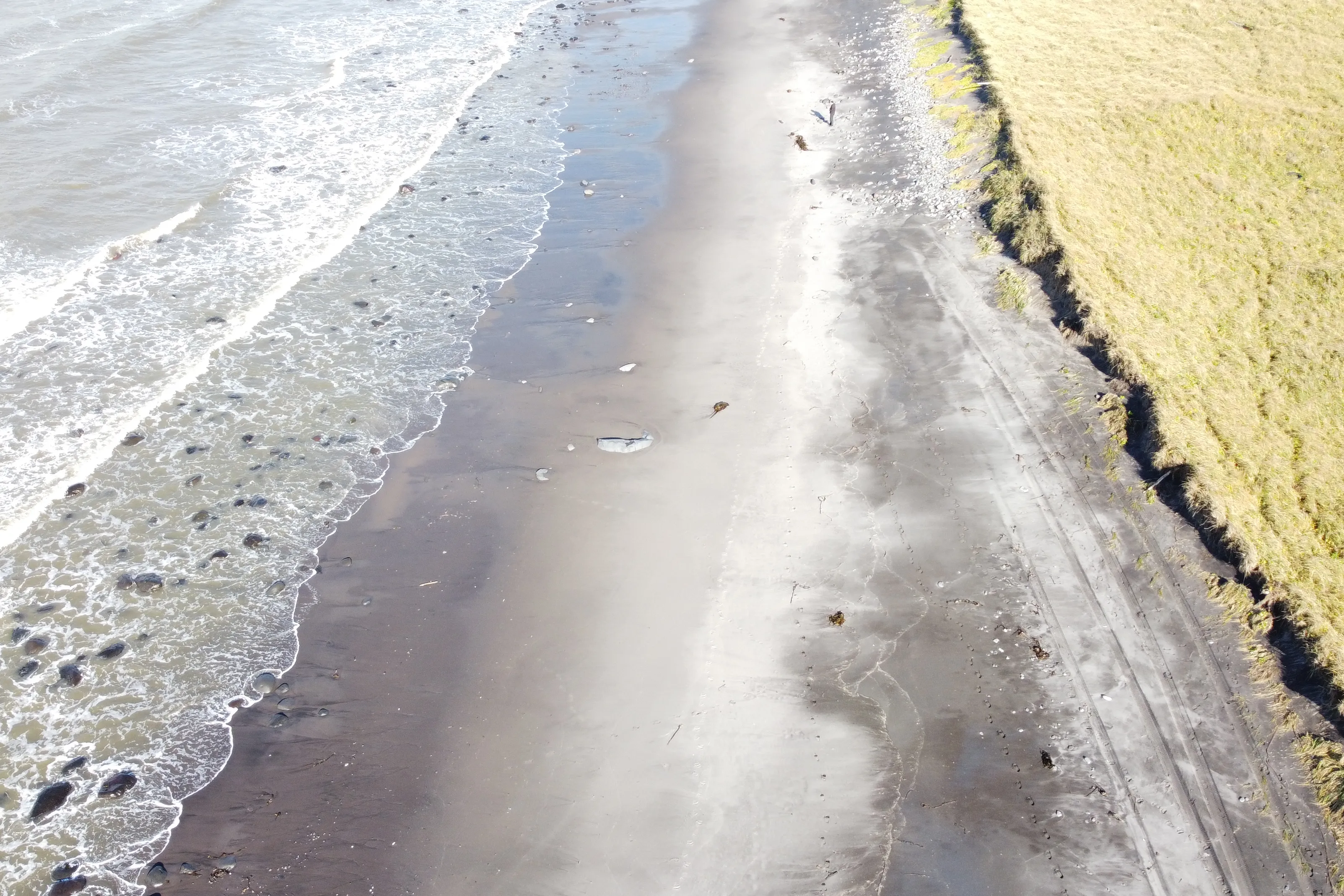 AI Takes Aim at Coastal Pollution in Russia