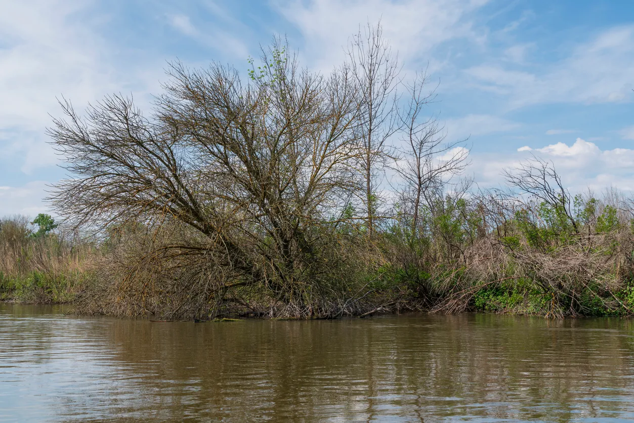 Russia Deploys Digital Sensors Ahead of Spring Flood Season