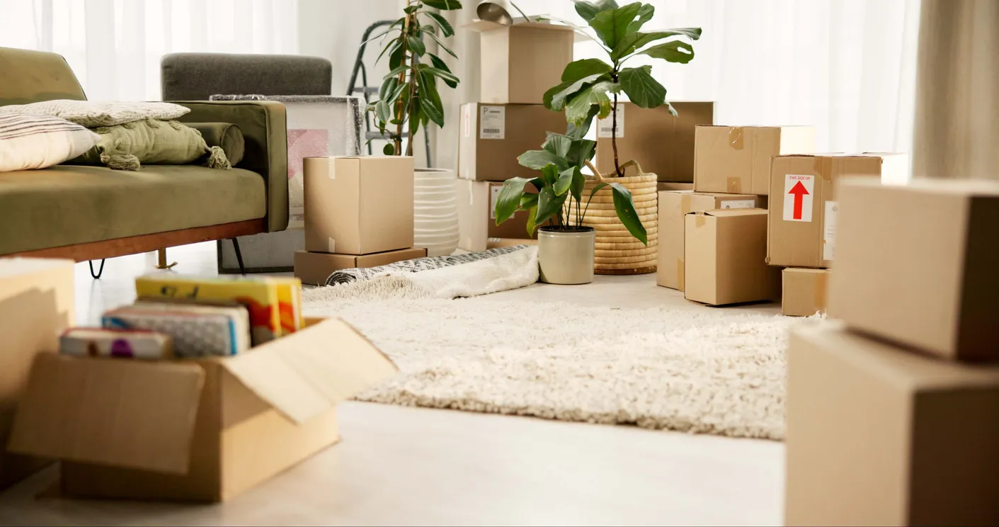 55,000 Moscow Families Used Digital Services to Move Homes