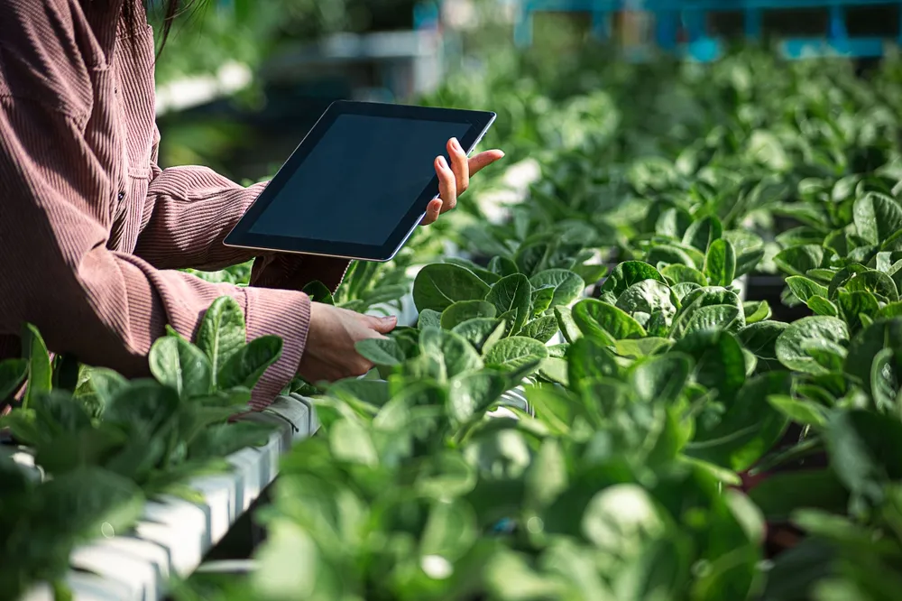 Russian Agrarian Unveils Virtual Farm for Organic Agriculture