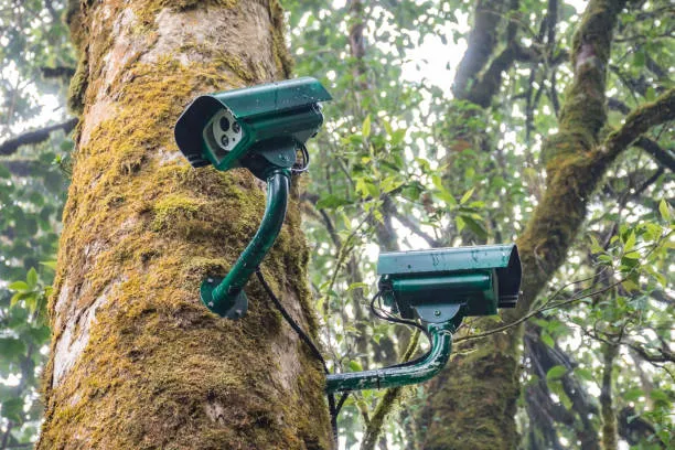 В забайкальских лесах вышла в дозор «умная» сотня